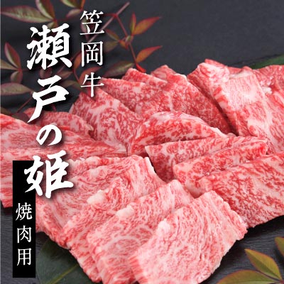 B-07 瀬戸の姫（焼肉用）