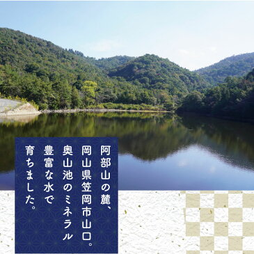 【ふるさと納税】太陽の恵み「ひのひかり」（白米）90kg（令和3年産米）【定期便】≪先行予約受付≫