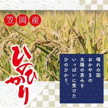 【ふるさと納税】太陽の恵み「ひのひかり」（白米）90kg（令和3年産米）【定期便】≪先行予約受付≫