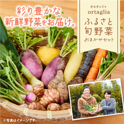 季節の旬野菜 10品 おまかせセット（農薬・化学肥料不使用） A-229