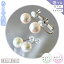 【ふるさと納税】アクセサリー あこや真珠(8.5mm-9.0mm) 選べる ホワイトグリーンまたはホワイトピンク..