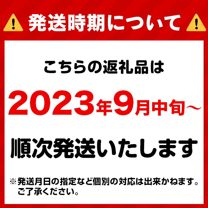 【ふるさと納税】新米予約 定期便 3回 米 無洗米 令和5年産 2kg 小分け 白米 あきたこまち 真空 保存 保管に便利 【無洗米】岡山県産あきたこまち2kg【3ヶ月連続お届け】