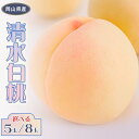 【ふるさと納税】清水白桃 岡山 桃 もも モモ 白桃 フルーツ 果物 お取り寄せ ギフト 贈答用 デザート スイーツ 旬 岡山の桃 桃の女王 岡山県産(晴れの国...