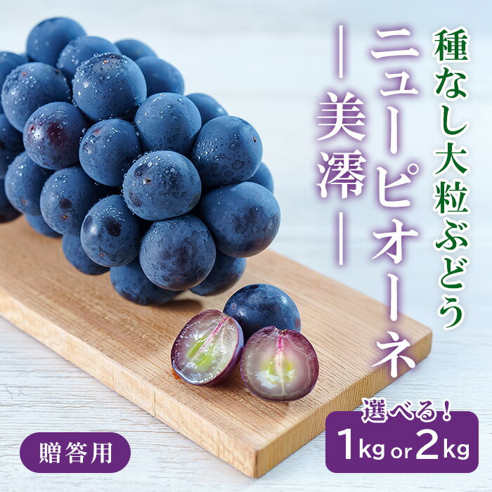【ふるさと納税】岡山県産 ぶどう 葡萄 ブドウ 種無しぶどう 果物 スイーツ フルーツ お取り寄せ ギフト 贈答用 デザート 井原市美星町産ニューピオーネ「美澪」 贈答用