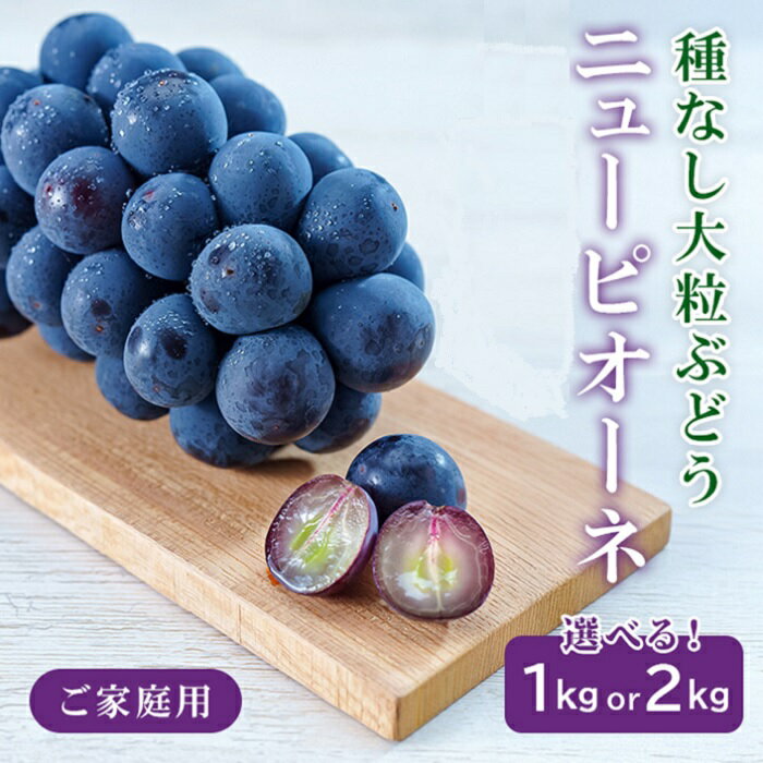 【ふるさと納税】岡山県産 ぶどう 葡萄 ブドウ 種無し 果物 スイーツ フルーツ お取り寄せ 家庭用 訳あり デザート 井原市美星町産ニューピオーネ（ご家庭用）