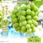 【ふるさと納税】果物 シャインマスカット 晴王 大粒 岡山県産 選べる 1房 650g以上 2房 1.2kg以上 ja岡山 皮ごと 種なし ぶどう 葡萄 フルーツ【2026年9月中旬~10月下旬発送予定】(いばら愛菜館)