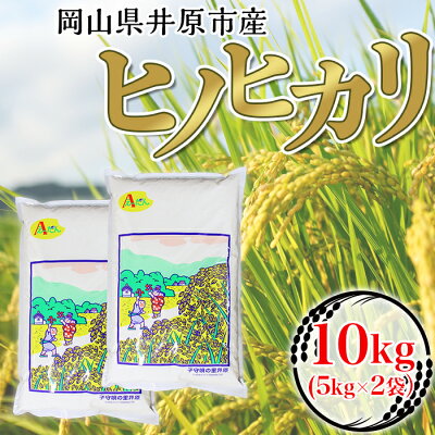 楽天ふるさと納税　【ふるさと納税】米 令和5年産 精米 10kg 5kg 2袋 白米 ヒノヒカリ ひのひかり 岡山県産 井原市産 63-01岡山県井原市産ヒノヒカリ10kg(5kg×2袋）