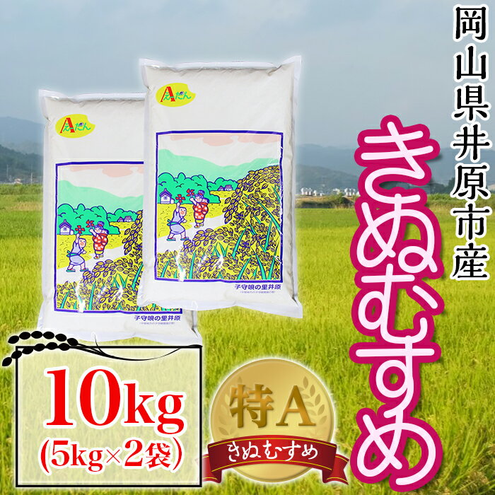 楽天ふるさと納税　【ふるさと納税】米 令和5年産 精米 10kg 5kg 2袋 白米 きぬむすめ キヌムスメ 岡山県産 井原市産 63-02岡山県井原市産きぬむすめ10kg(5kg×2袋）