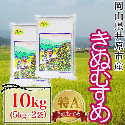 米 令和5年産 精米 10kg 5kg 2袋 白米 きぬむすめ キヌムスメ 岡山県産 井原市産 63-02岡山県井原市産きぬむすめ10kg(5kg×2袋）