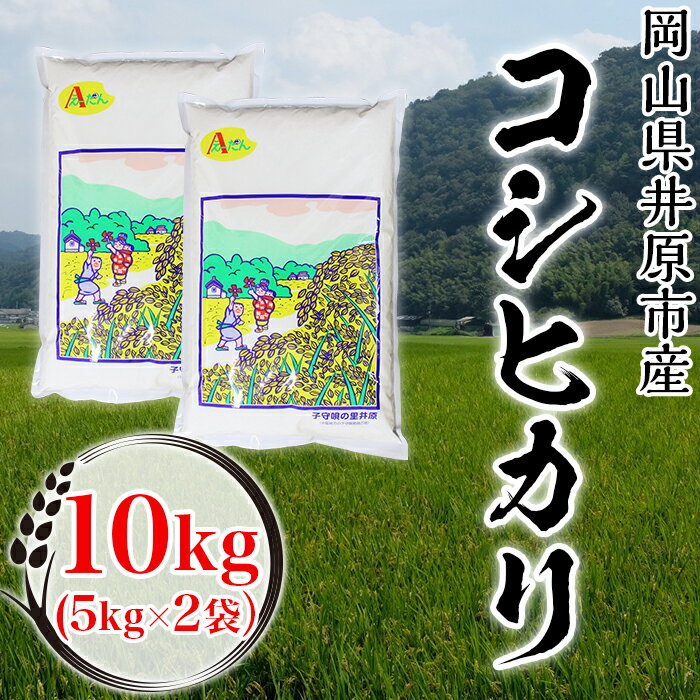 【ふるさと納税】米 令和5年産 精米 10kg 5kg 2袋 白米 コシヒカリ こしひかり 岡山県産 井原市産 美星町産 63-04井原市美星町産コシヒカリ10kg(5kg×2袋）