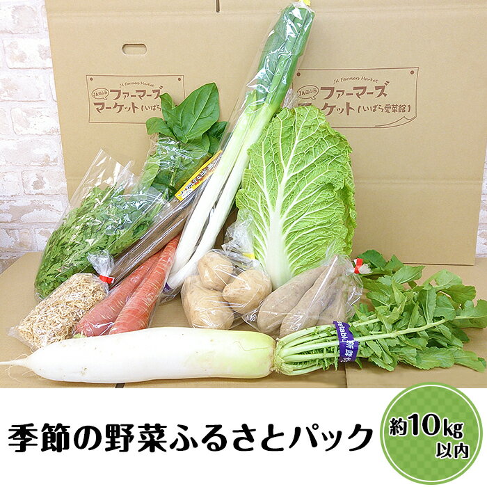 【ふるさと納税】野菜セット A-05 季節の野菜ふるさとパック