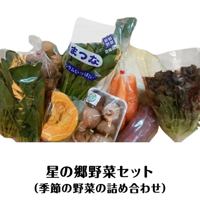 野菜セット A-37 星の郷野菜セット