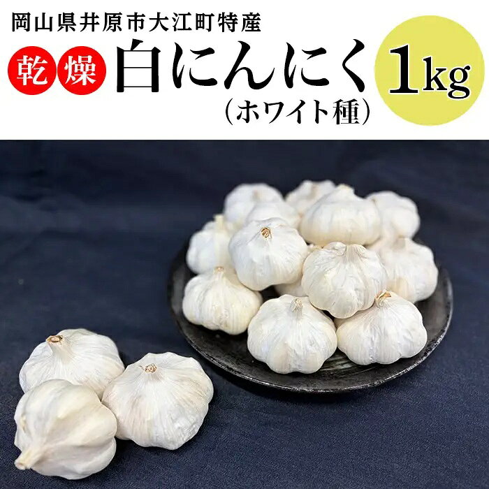 ・ふるさと納税よくある質問はこちら ・寄付申込みのキャンセル、返礼品の変更・返品はできません。 　あらかじめご了承ください。 商品詳細 名称 乾燥白にんにく 1kg 産地名 岡山県井原市 内容量 乾燥白にんにく 1kg 発送時期 ご入金確認後、6月下旬〜順次発送（10月まで） 配送温度帯 常温 保存方法 常温 消費期限 60日 詳細 嫁いらず観音の郷、健康と長寿のまち、岡山県井原市大江町特産の白にんにく（ホワイト種）です。色んな料理でお楽しみください。 注意事項 ※出荷時期になりましたら、別途メールにてお届けについてのご案内をさせていただきます。 ※商品をお受取いただきましたら、すぐに商品の状態をご確認お願い致します。万が一、不良があった場合は、お問合せフォームからご連絡ください。お時間が過ぎてからの対応は致しかねます。 ※お客様の都合により商品を受け取れなかった場合、または受け取りまでに期間がかかった場合は、生鮮品につき「返品・再配送」は致しかねます。 ※掲載画像はイメージです。 提供 大江まちづくりいきいき菜園の会