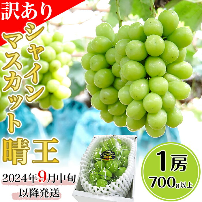 訳あり 先行予約 岡山 シャインマスカット 種無し ぶどう 晴王 1房 700g以上 皮ごと食べられる種なしぶどう 果物 フルーツ 国産 ブドウ くだもの 岡山県産 [訳あり]シャインマスカット晴王1房[2024年9月中旬〜10月下旬発送予定](いばら愛菜館)