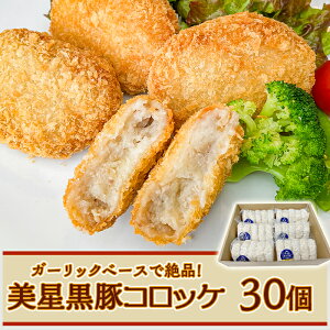 【ふるさと納税】豚 豚肉 黒豚 美星満天豚 コロッケ おかず 惣菜 冷凍 ブランド 肉 贈り物 ギフト プレゼント 岡山県 美星町 国産【美星満天豚使用】美星黒豚コロッケ30個入り(手作り・真空冷凍)