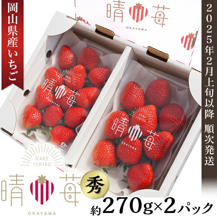 苺 いちご フルーツ イチゴ 国産 先行予約 岡山県産いちご「晴苺」秀[2025年2月上旬以降順次発送]