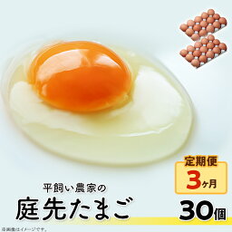 【ふるさと納税】こだわり卵 卵 たまご 玉子 タマゴ 鶏卵 平飼い 30個×3回 90個 定期便 まとめ買い 卵かけご飯 オムレツ 朝食 料理 人気 美味しい 贅沢　平飼い農家の庭先たまご 30個 × 3回【3ヶ月連続お届け】