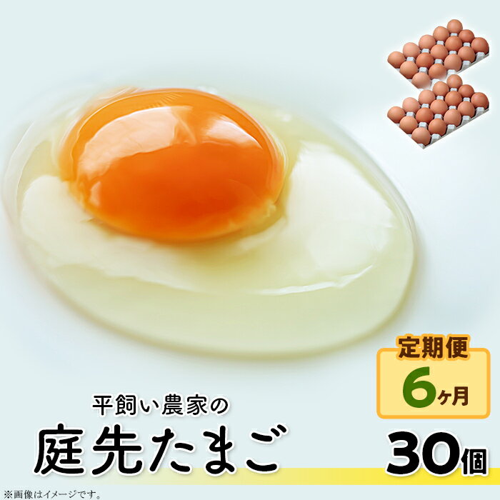 【ふるさと納税】こだわり卵 卵 たまご 玉子 タマゴ 鶏卵 平飼い 30個×6回 180個 定期便 まとめ買い 卵かけご飯 オムレツ 朝食 料理 人..