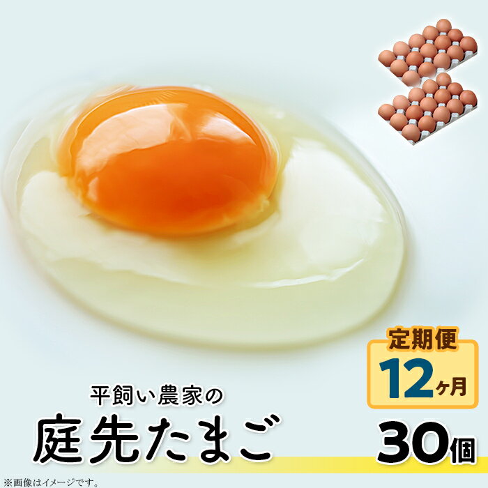 19位! 口コミ数「0件」評価「0」こだわり卵 卵 たまご 玉子 タマゴ 鶏卵 平飼い 30個×12回 360個 定期便 まとめ買い 卵かけご飯 オムレツ 朝食 料理 人気 美･･･ 