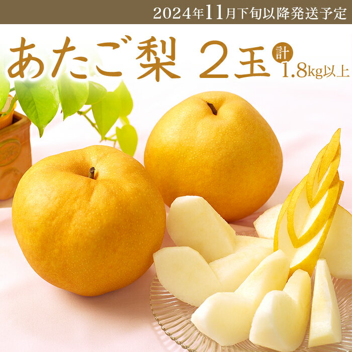 フルーツ先行予約 果物 梨 岡山県産 なし あたご梨 1.8kg 2玉 旬 くだもの 岡山県産あたご梨2玉(1.8kg以上)[2024年11月下旬〜12月中旬発送予定]環山堂