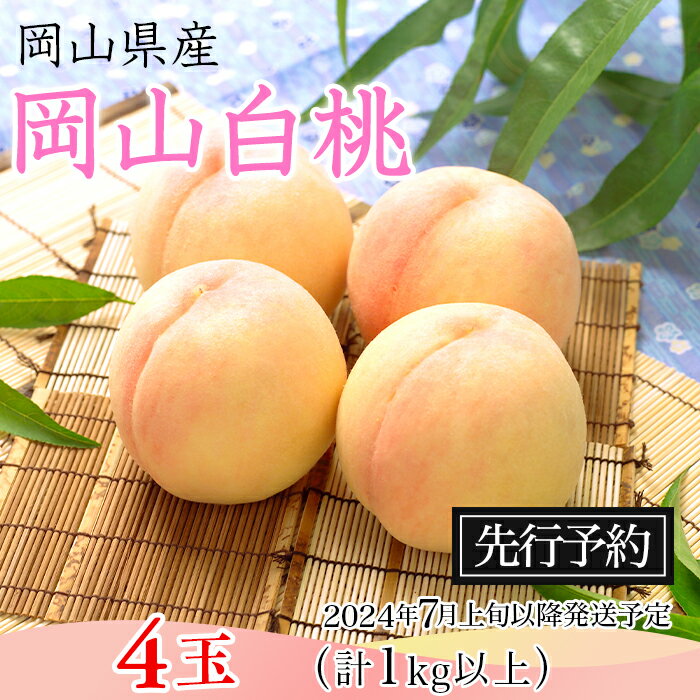 【ふるさと納税】岡山県 岡山白桃 4玉 1kg以上 フルーツ