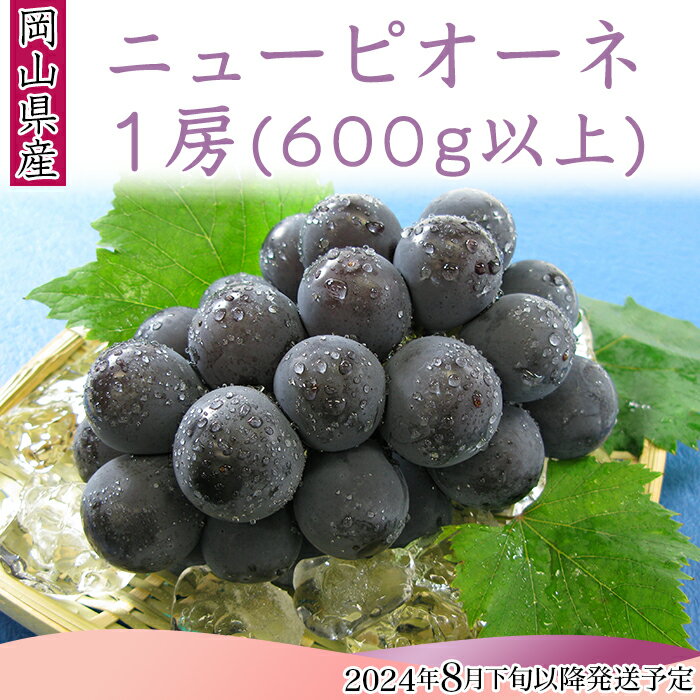 【ふるさと納税】岡山県 ニューピオーネ 1房 600g以上 