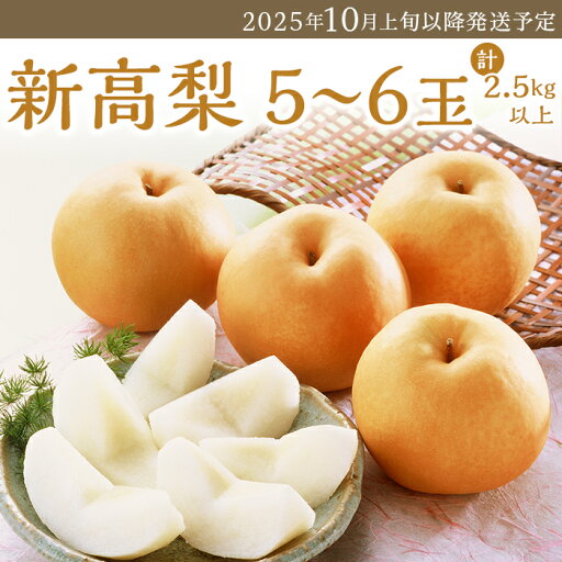 【ふるさと納税】フルーツ先行予約 果物 梨 岡山県産 なし 新高梨 2.5kg 5~6玉 にいたか 旬 くだもの 74-21 新高梨 5~6玉(2.5kg以上)【2025年10月上旬~下旬発送予定】 【ふるさと納税】フルーツ先行予約 果物 梨 岡山県産 なし 新高梨 2.5kg 5~6玉 にいたか 旬 くだもの 74-21 新高梨 5~6玉(2.5kg以上)【2025年10月上旬~下旬発送予定】