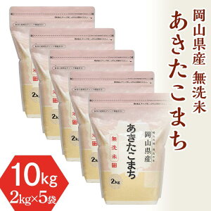 【ふるさと納税】米 令和5年 2kg×5袋 小分け 白米 あきたこまち 真空 保存 保管に便利 窒素...