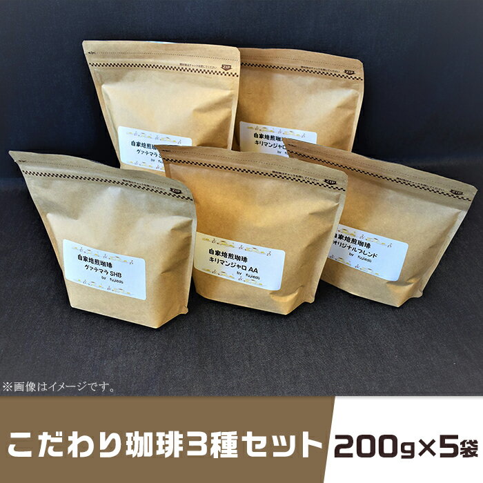 【ふるさと納税】コーヒー 珈琲 3種 200g×5袋 1kg