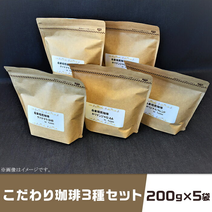 楽天岡山県井原市【ふるさと納税】コーヒー 珈琲 3種 200g×5袋 1kg キリマンジャロ グアテマラ 飲み比べ アウトドア キャンプ こだわり珈琲3種セット（200g×5袋）自家焙煎珈房　藤枝