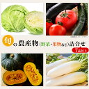 11位! 口コミ数「0件」評価「0」野菜 果物 くだもの フルーツ お楽しみ 詰合せ セット 旬 新鮮 旬の農産物（野菜・果物など）詰合せ【7品以上】