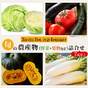 【ふるさと納税】定期便 4回 野菜 果物 くだもの フルーツ