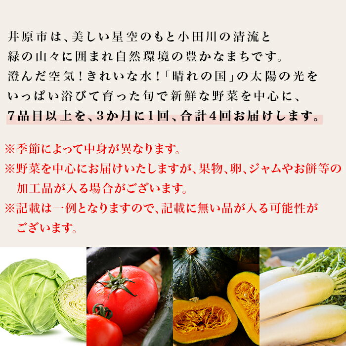 【ふるさと納税】定期便 4回 野菜 果物 くだもの フルーツ お楽しみ 詰合せ セット 旬 新鮮 【3か月に1回、合計4回お届け】旬の農産物（野菜・果物など）詰合せ【7品以上】