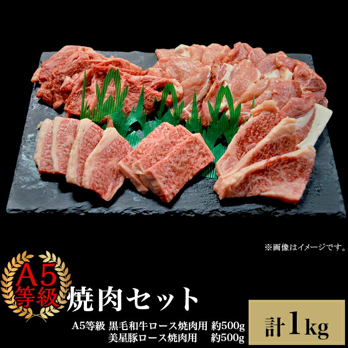 【ふるさと納税】肉 国産 牛肉 A5等級 黒毛和牛 焼肉 豚肉 ロース 焼肉セット1kg（4～5人用）A5等級 黒毛和牛ロース 約500gと美星豚ロース 約500g 岡山県産