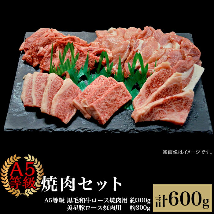 【ふるさと納税】肉 国産 牛肉 A5等級 黒毛和牛 焼肉 豚肉 ロース 焼肉セット600g 2～3人用 A5等級 黒毛和牛ロース 約300gと美星豚ロース 約300g 岡山県産