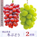 3位! 口コミ数「6件」評価「4.83」先行予約 岡山 シャインマスカット 種無し ぶどう マスカット 詰合せ 2房 約1.2kg 果物 フルーツ 国産 ブドウ くだもの 岡山県産･･･ 