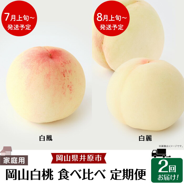 【ふるさと納税】白桃 岡山 桃 もも モモ 岡山の桃 白鳳 白麗 スイーツ フルーツ 果物 定期便 デザート..