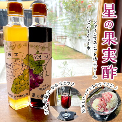 飲む酢 飲むお酢 果実酢 フルーツビネガー ビネガードリンク シャインマスカット 晴王 ピオーネ 星の果実酢2本セット（シャインマスカット晴王・ピオーネ）