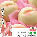 【ふるさと納税】白桃 岡山 桃 もも モモ 岡山の桃 スイーツ フルーツ 果物 お取り寄せ デザート 旬 大玉 家庭用 訳あり 【ご家庭用】おかやまの桃 大玉3...
