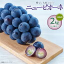 【ふるさと納税】岡山県産 ぶどう 葡萄 ブドウ 種無しぶどう ニューピオーネ ピオーネ 2kg 3〜5房 果物 スイーツ フルーツ お取り寄せ 家庭用 訳あり ...