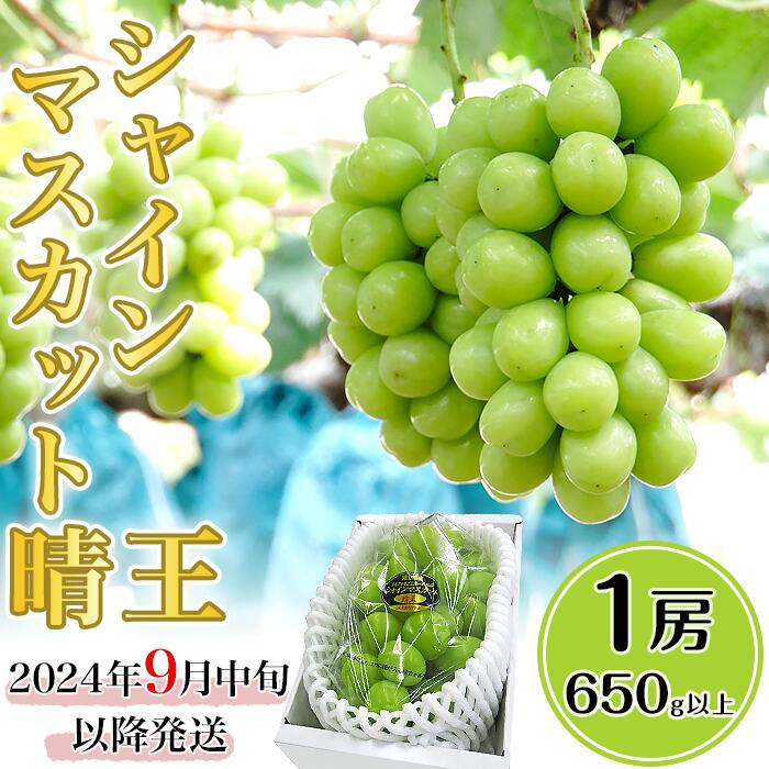 20位! 口コミ数「8件」評価「4.75」岡山県産 シャインマスカット 晴王 1房 650g以上 先行予約 皮ごと食べられる種なしぶどう 果物 フルーツ 国産 シャインマスカット晴王･･･ 