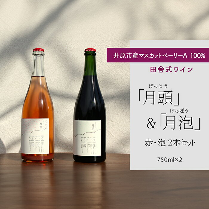 ・ふるさと納税よくある質問はこちら ・寄付申込みのキャンセル、返礼品の変更・返品はできません。 　あらかじめご了承ください。 商品詳細 名称 田舎式ワイン「月頭」＆「月泡」2本セット 産地名 岡山県井原市 内容量 ◎田舎式ワイン「月頭」2022 品目　果実酒　日本ワイン 内容量 750ml　アルコール分 10% 原材料名 ぶどう（岡山県井原市産） ◎田舎式ワイン「月泡」2023 品目　果実酒　日本ワイン 内容量 750ml　アルコール分 10% 原材料名 ぶどう（岡山県井原市産） 配送温度帯 冷蔵 保存方法 冷蔵 発送期日 ご入金確認後、2023年12月15日以降に発送予定です。 ※伊豆諸島（大島・八丈島を除く）及び小笠原村（小笠原諸島）への発送は出来ません。 詳細 井原市産自家栽培の低農薬葡萄（マスカットベリーA）100%を原材料に、野生酵母で醸し、無添加・無濾過で自然のままに造った田舎式ワインです。赤ワインと澱がらみスパークリングワインの2本をセットにしました。 ◎田舎式ワイン「月頭 」 収穫後、ぶどうの実を外し、果皮や種、果汁をまるごと野生酵母で発酵させました。 発酵終了後すぐに搾り機へ。その後、4週間ほど澱下げし瓶詰めしました。 甘いベリーの香り。ハーブやレモングラスのような爽やかさ。するっと飲めちゃう赤ワインです。 --------------------------------------- 品種:マスカットベリーA 栽培方法:低農薬（慣行栽培の約1/3） 栽培者:なごみ農園（月頭畑） 栽培地:岡山県井原市稗原町 土質:粘土質 標高:約330m 収穫日:2022年10月1日 酵母:野生酵母 酸化防止剤:無添加 ろ過:不実施 詰口日:2022年11月17日 生産本数:415本 ※「月頭」は「げっとう」と読みます。 --------------------------------------- ◎田舎式ワイン「月泡」 収穫後、ぶどうの実を外して搾り機へ。果汁のみを野生酵母で低温発酵させました。発酵終了後すぐに瓶詰めし、野生酵母の出すガスを閉じ込めた、澱がらみの超！発泡性ワインです。 甘いベリーとミルキーな香り、滋味豊かな「にごりワイン」。大人のサイダー。 --------------------------------------- 品種:マスカットベリーA（特別栽培農産物） 栽培地:岡山県井原市稗原町 圃場名：月頭畑 土質:粘土質 標高:約330m 収穫日:2023年9月23日 酵母:野生酵母 酸化防止剤:無添加 ろ過:不実施 詰口日:2023年10月25日 生産本数:338本 ※「月泡」は「げっぽう」と読みます --------------------------------------- 生産者様の声 【田舎暮らし】天然酵母パンとワイン造り / 移住者インタビュー 母のふるさとである井原市の山間に移住して20年が経ちました。 この地に暮らしながら、この地で自分にできることは何か、ずっと模索し続けています。 その過程でこのワインは生まれました。 高齢化、過疎化が深刻な「ぶどうの里井原」でぶどう栽培を始めて、できあがったぶどうを原材料に委託醸造でワインを作り、酒販免許を取得し、こうして販売できるまでになりました。 この先、私たちは自分たちのワイナリーを作りたいと思っています。 自分たちのワイナリーができれば、この地に今よりももっと多様な仕事が生まれます。 仕事があれば、新たな人生を歩み始めたい様々な人たちを、この地に受け入れることができます。 また、次の世代に、この地で暮らすという選択肢を残すこともできます。 ワインが一本でも多く売れて、この地にワイナリーを作ることができれば、あなたのふるさと、私のふるさとが、これからもあり続けるということです。 あなたのチョイスがふるさとの持続可能性をダイレクトに高めます。 どうぞ、応援よろしくお願いします。 注意事項/その他 【月泡】開栓時の吹きこぼれ抑制の為、数日間、冷蔵・縦置き・静置して開栓してください。 要冷蔵（5〜10℃）。添付の説明書に上手な開栓方法も記載しています。参考にしてください。 ※伊豆諸島（大島・八丈島を除く）及び小笠原村（小笠原諸島）への発送は出来ません。 ※20歳未満の飲酒は法律で禁止されています。 提供 百種ファーミング