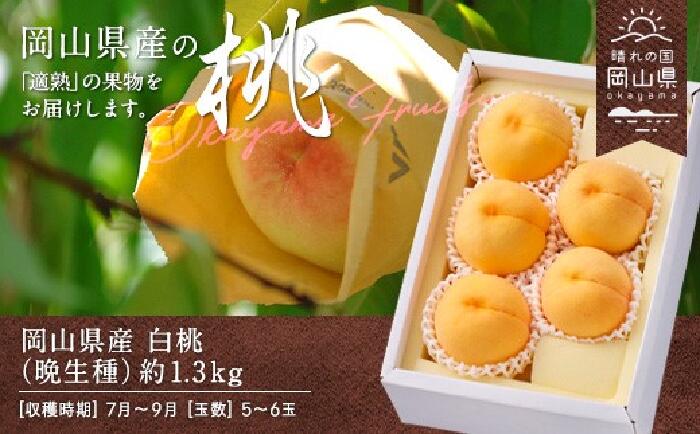 【ふるさと納税】白桃 岡山 桃 もも モモ 岡山の桃 晩生種 白麗 瀬戸内白桃 スイーツ フルーツ 果物 お取り寄せ ギフト 贈答用 デザート 旬 岡山県産「白桃(晩生種)」約1.3kg(5~6玉)