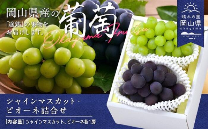 【ふるさと納税】岡山県産 シャインマスカット ピオーネ 詰合せ 果物 スイーツ フルーツ お取り寄せ ギフト 贈答用 デザート 旬 岡山県産「シャインマスカット・ニューピオーネ」詰合せ 約1.0kg
