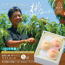 【ふるさと納税】【2025年産先行予約】もも 桃 岡山県 白桃 食べつくし ライトコース (約1kg×5回配送) 定期便 総社市産 岡山県総社もも生産組合 25...