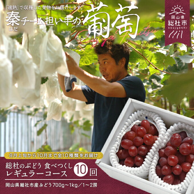 【ふるさと納税】【2025年産先行予約】ぶどう 岡山県 葡萄 食べつくしレギュラーコース (約700g~1kg/1~2房×10回配送)定期便 総社市産 総社市秦チーム担い手 25-150-001