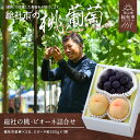 【ふるさと納税】【2025年産先行予約】もも 桃 岡山県 白桃 2玉 ピオーネ1房 詰合せ 総社市産 岡山県総社もも生産組合 25-020-002