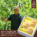 【ふるさと納税】【2025年産先行予約】もも 桃 岡山県 白桃 8月〜9月 晩生桃 約1kg 総社市産 岡山県総社もも生産組合 25-013-002