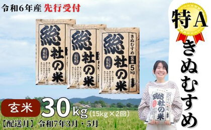 米 定期便 先行予約 特A きぬむすめ 令和6年産 玄米 30kg （15kg×2回） 選べる 配送月 岡山県産 総社産米【R7年3月・5月配送】