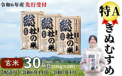 米 定期便 先行予約 特A きぬむすめ 令和6年産 玄米 30kg （15kg×2回） 選べる 配送月 岡山県産 総社産米【R6年11月・R7年1月配送】